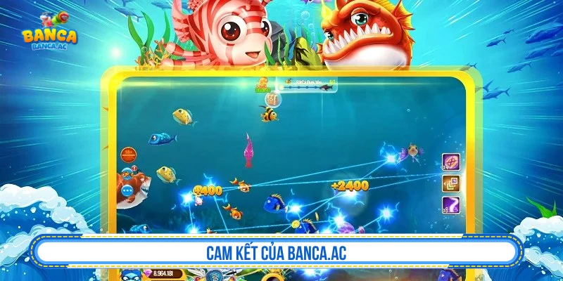 Vai trò của Flashmark2003.de trong việc khuyến khích chơi có trách nhiệm