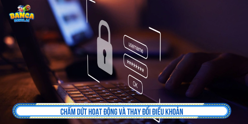 Thay đổi và chấm dứt quyền sử dụng tại Flashmark2003.de