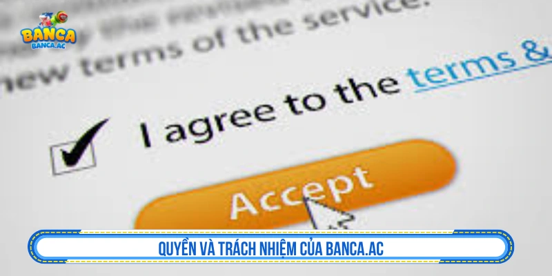 Quyền và trách nhiệm của Flashmark2003.de